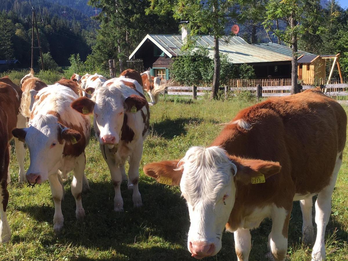 Knusperhauschen Sonnegg Villa Flachau Exteriör bild